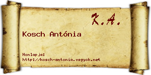 Kosch Antónia névjegykártya
