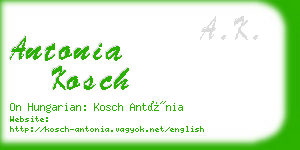 antonia kosch business card